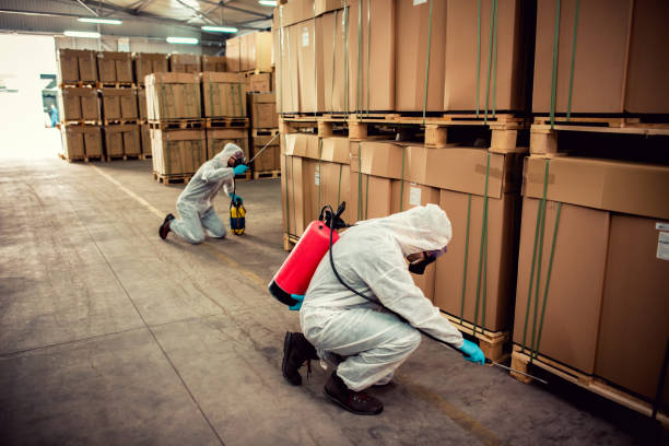  Monroe, UT Pest Control Pros