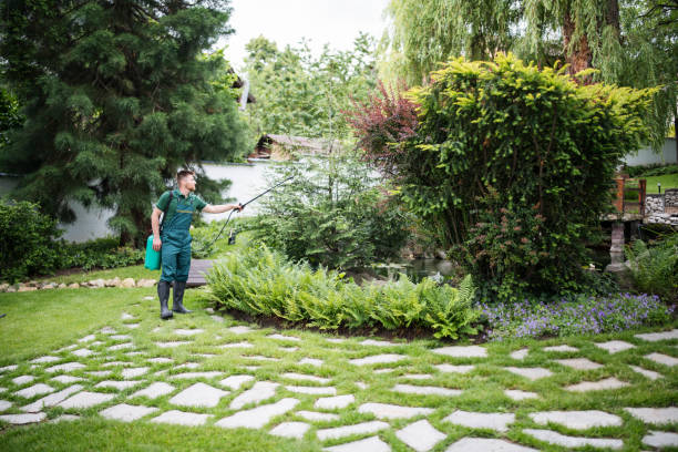 Best Emergency Pest Control  in Monroe, UT