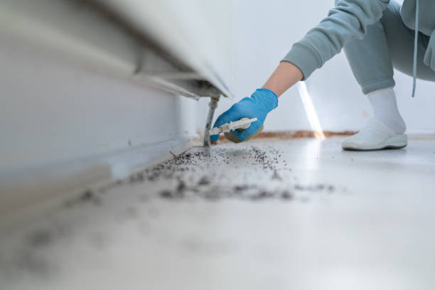 Best Flea Control Services  in Monroe, UT